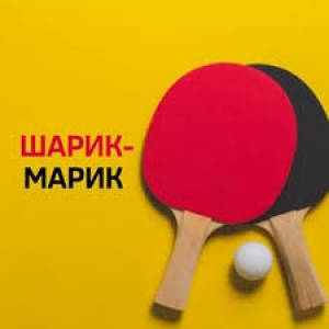 Клуб настольного тенниса Шарик-Марик в Алматы